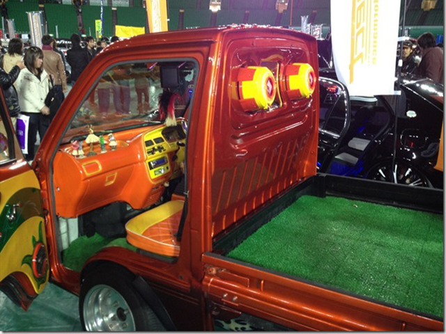 ダッチラムの画像